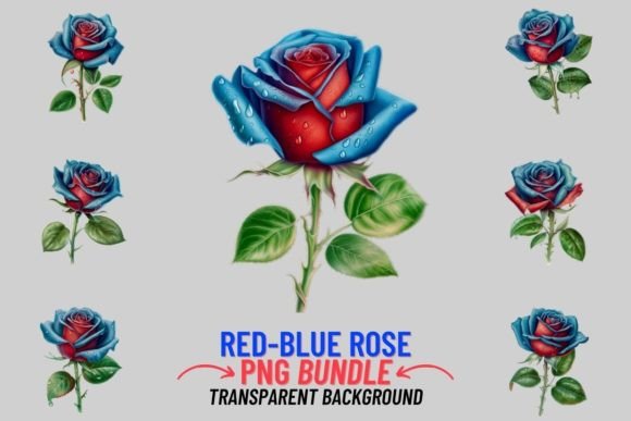 Red Blue Rose 12 PNG Clipart Bundle: A Watercolor Design Asset