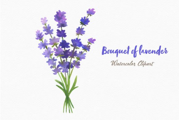 Unlocking Creativity with Lavender Flowers Watercolor Bouquet Png